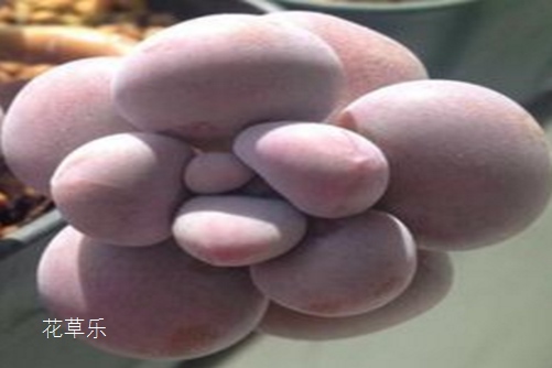 防晒霜有防晒么——，防晒霜有防晒么？揭秘你可能不知道的防晒真相！