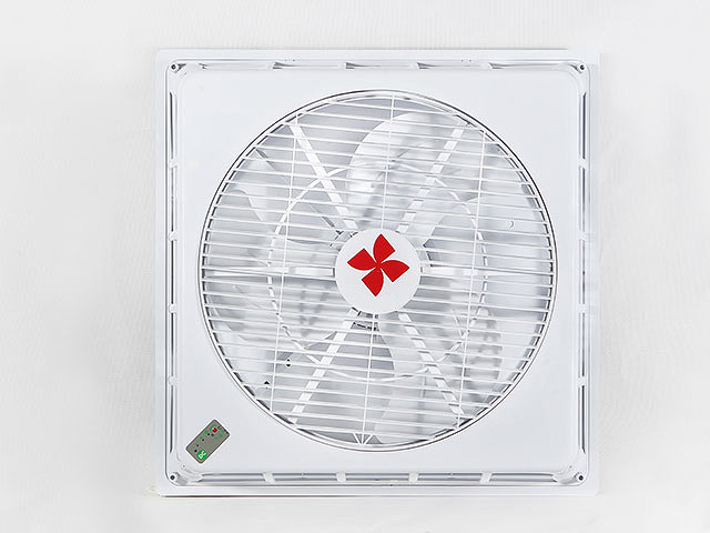 动漫另类精品亚洲aⅴ在线观看，打破常规，探索无限创意的世界